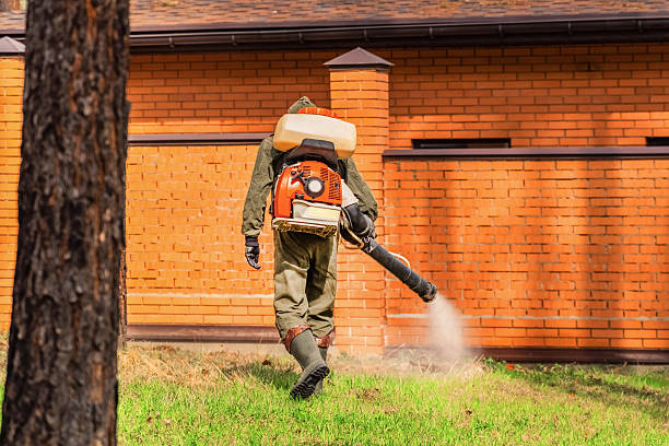 Top rated local Ant Control specialists in Reynolds Heights, PA
